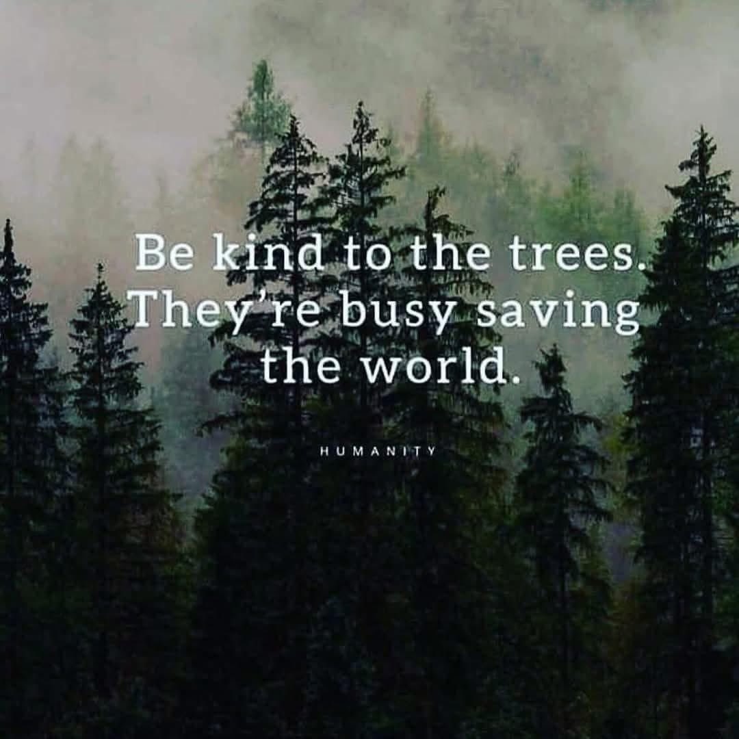 JanetNestor's tweet photo. Be kind to trees. They are living beingsβ¦and we canβt live without them. One tree needed for every person on the planet.
#FindingNaturesMagic
#EveryDayIsEarthDay https://t.co/S8WN8zTtzX