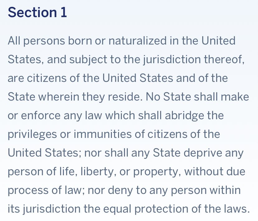 This is such an airtight paragraph that it’s going to fuck me up intensely when the SCOTUS goes 6-3 in favor of ending birthright citizenship