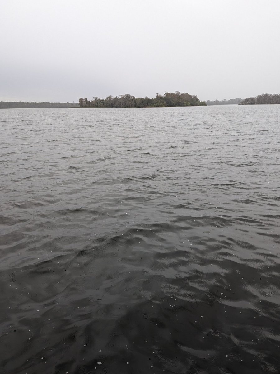 Adam Morgan (@adamm0rgan) on Twitter photo In the 90s, Disney almost turned this island near Florida's Magic Kingdom into a MYST theme park, where you'd solve puzzles to understand what happened to the island's inhabitants. Looks the part this morning! <a href="/cyanworlds/">Cyan Worlds</a> In the 90s, Disney almost turned this island near Florida's Magic Kingdom into a MYST theme park, where you'd solve puzzles to understand what happened to the island's inhabitants. Looks the part this morning! <a href="/cyanworlds/">Cyan Worlds</a>
