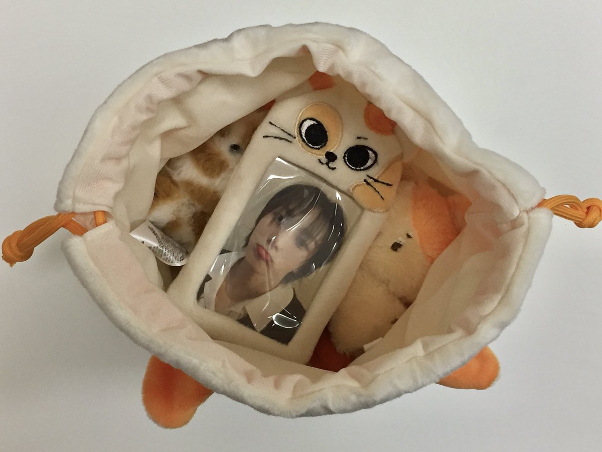 캣삐 속에는…🐈