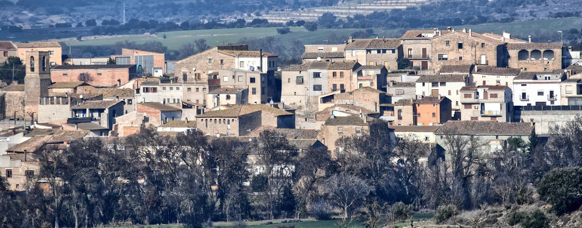 Som Segarra tweet media