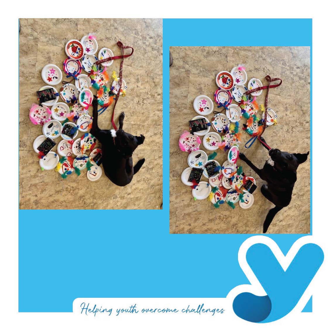 YouthDiversion's tweet image. The students at Perth Rd Public School will start to lead Circles in their classroom; and they created this beautiful centrepiece to showcase the values of their classroom. Well done Panthers! #classroomcircles #restorativepractices #ygk