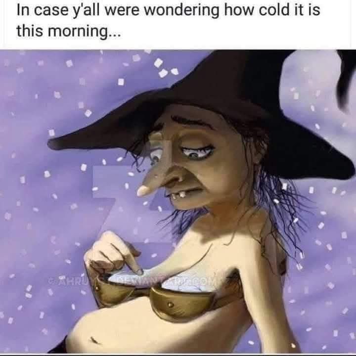 SueHappy3's tweet image. #Happytittytuesday 🤷🏻‍♀️ #Chicagowinter