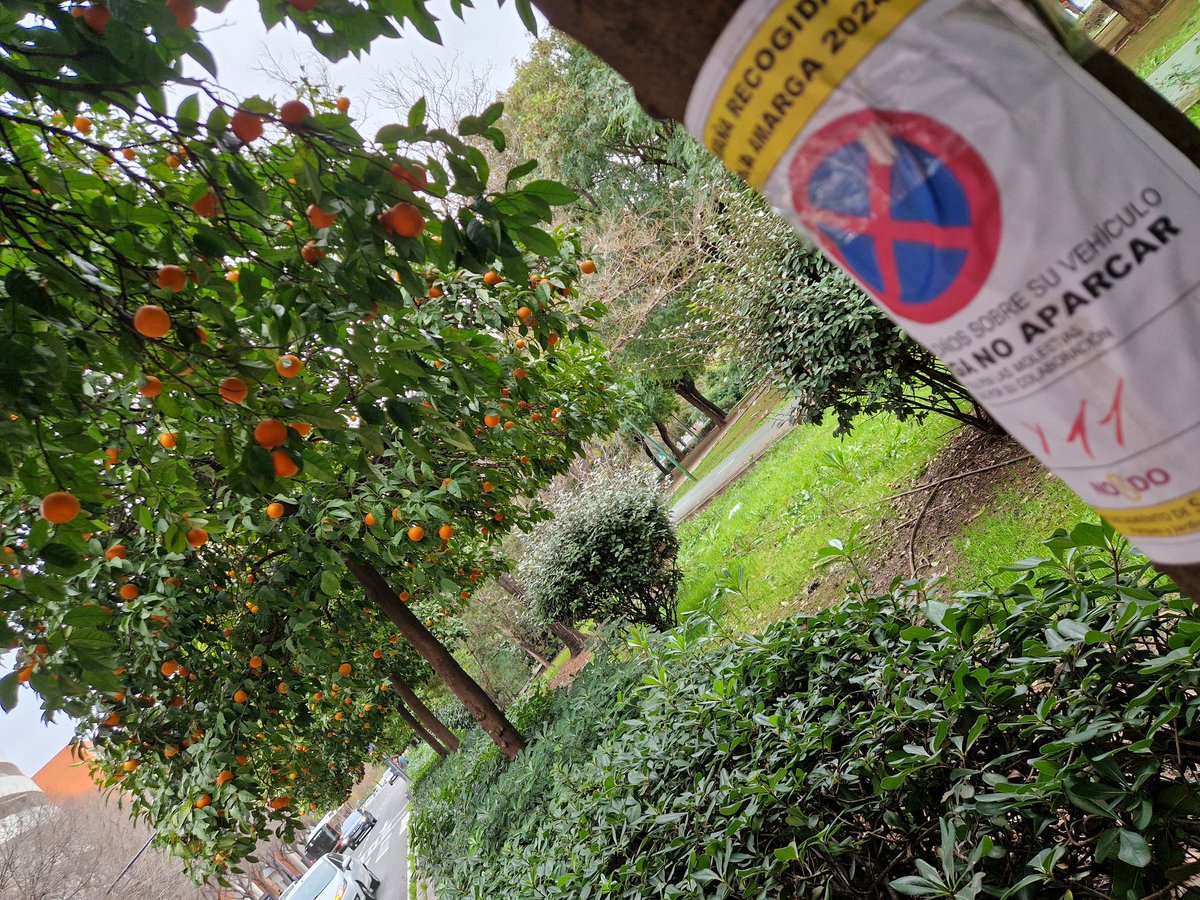 Sevillanos, os engaño tweet media