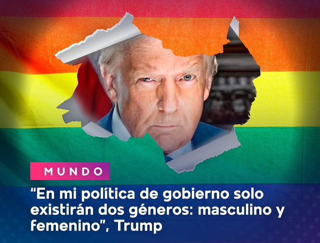 El Necio tweet media