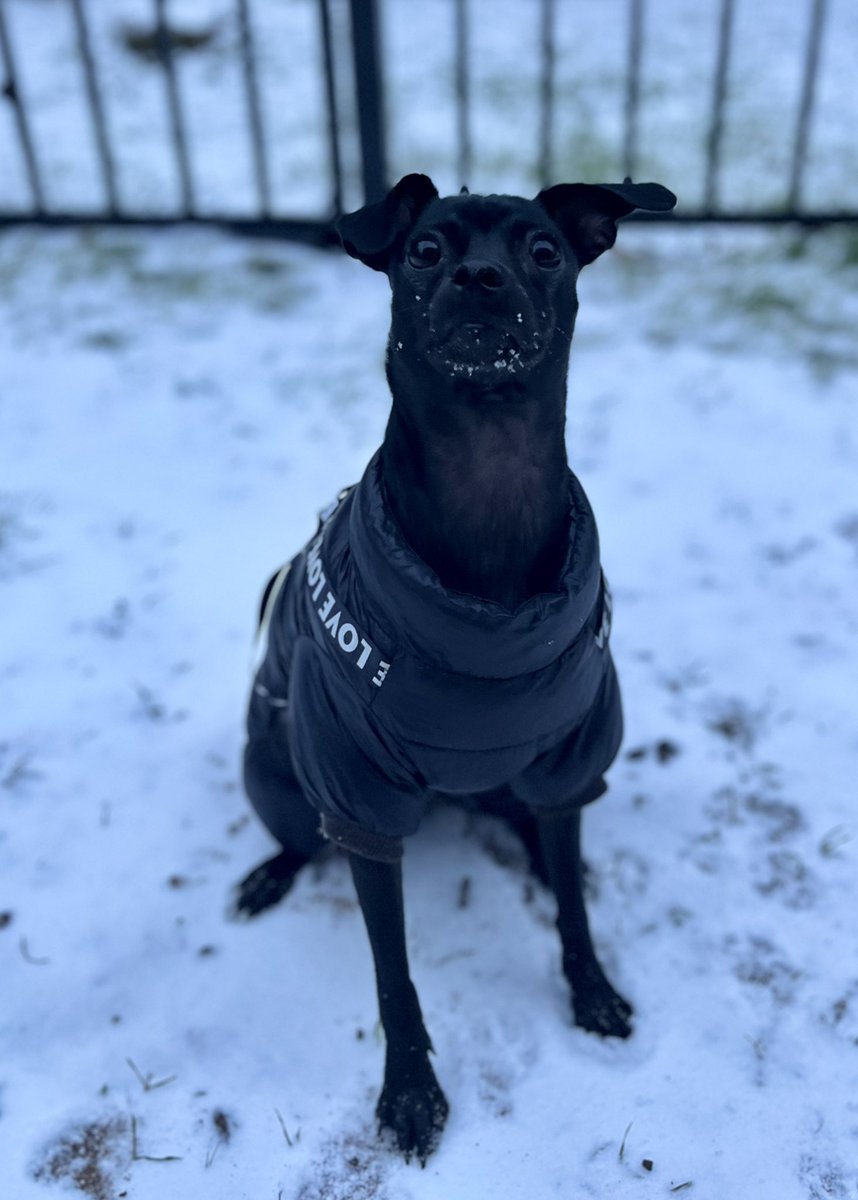 Mano Meile tweet media