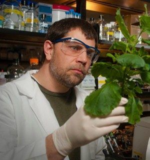 BRVGS's tweet photo. We are sad to announce the passing of Dr. John McDowell. The past 15 years, Dr. McDowell from Virginia Tech has been an integral part of the BRVGS program. He generously shared his expertise with all our AP Biology students during the Arabidopsis project. https://t.co/DMDDtY56wI https://t.co/MsX6q23Lmo