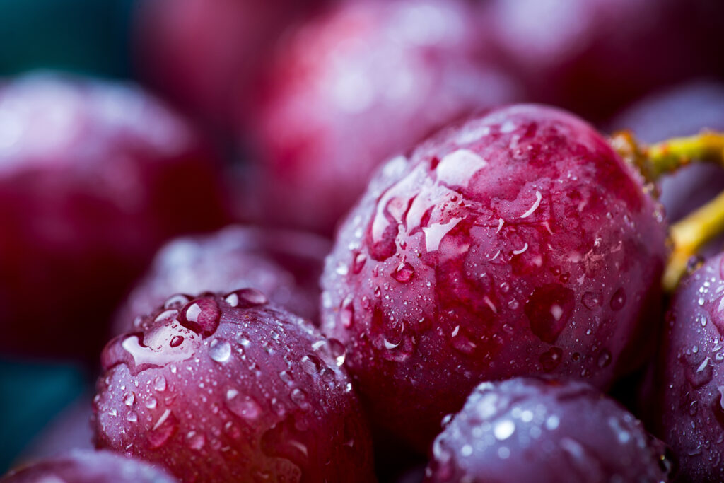 sanagcl's tweet photo. [BUENAS EXPECTATIVAS] 
La temporada 2025 de uva de mesa chilena ha comenzado con optimismo entre los productores, quienes destacan la buena calidad de la fruta, gracias al clima favorable en las regiones de Atacama, Coquimbo y Valparaíso.
Más detalles en https://t.co/7L9jVuQkeh https://t.co/mhNdSun7cO