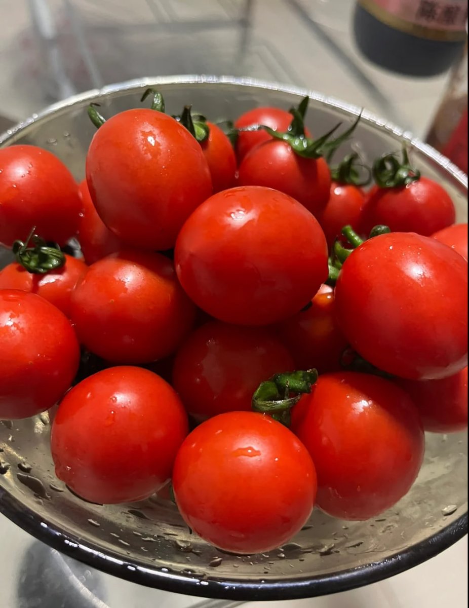 갑자기 시장기가..방울토마토 몇 개를 먹고 잠잘 준비를 한다.🥱 🥱 🥱 🥱 🥱 🥱 🥱