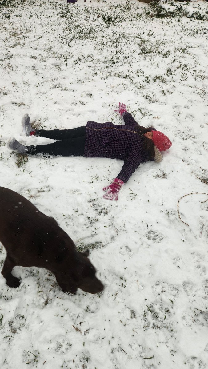 Csgmetal's tweet photo. Look at a baby snow angel in the making.  In Houston TX. https://t.co/dluq5di2yY