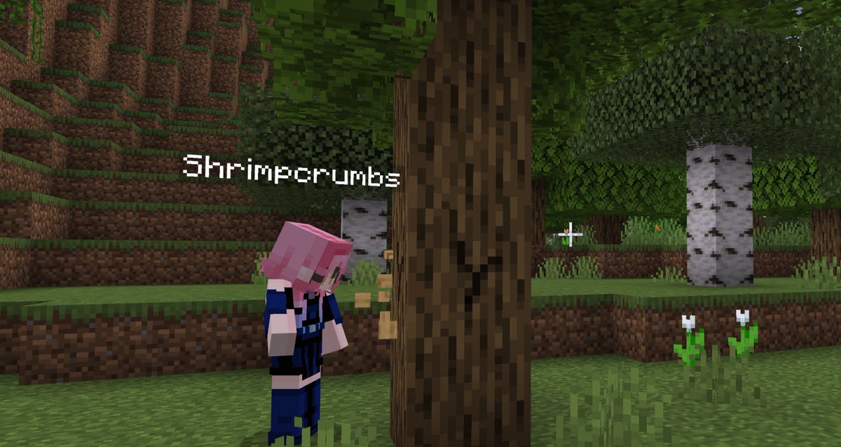 shrimpcrumbs's tweet photo. MiziSua in Minecraft?? 🌸🦢 https://t.co/JGWjUgw5kB
