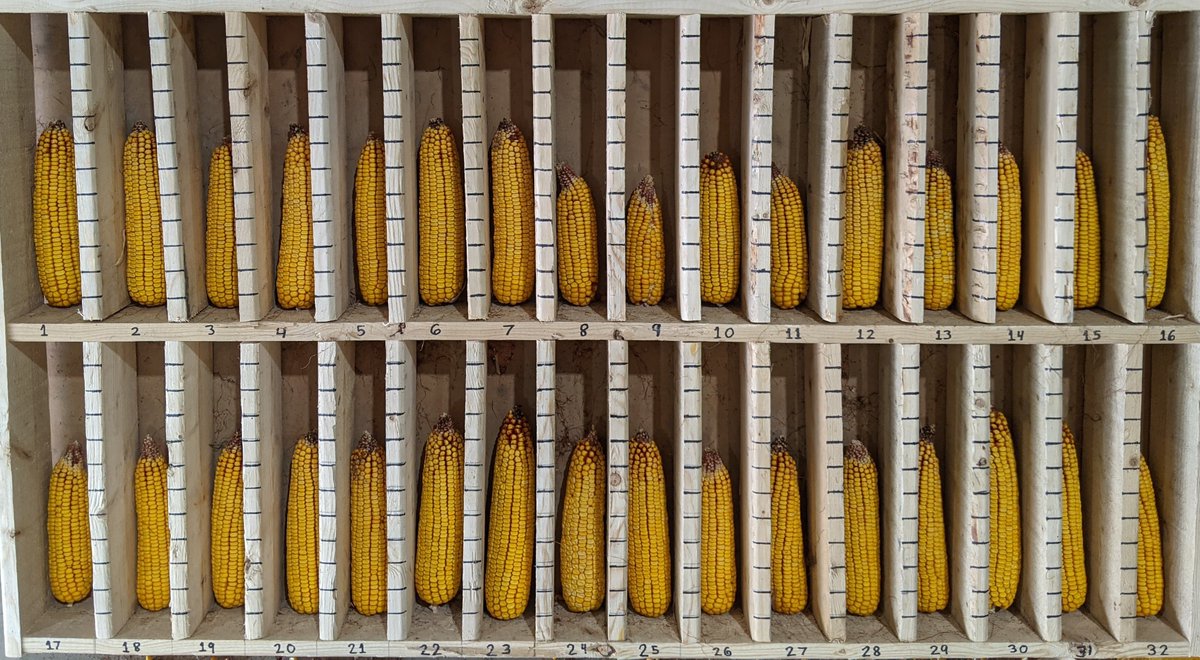 Danny Jefferies tweet media