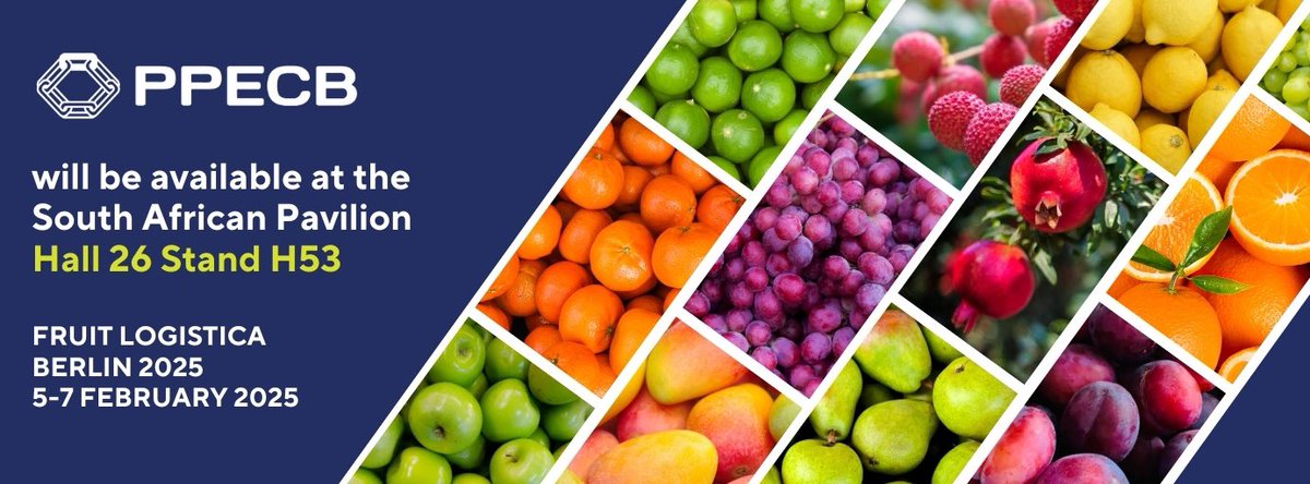 PPECB South Africa tweet media