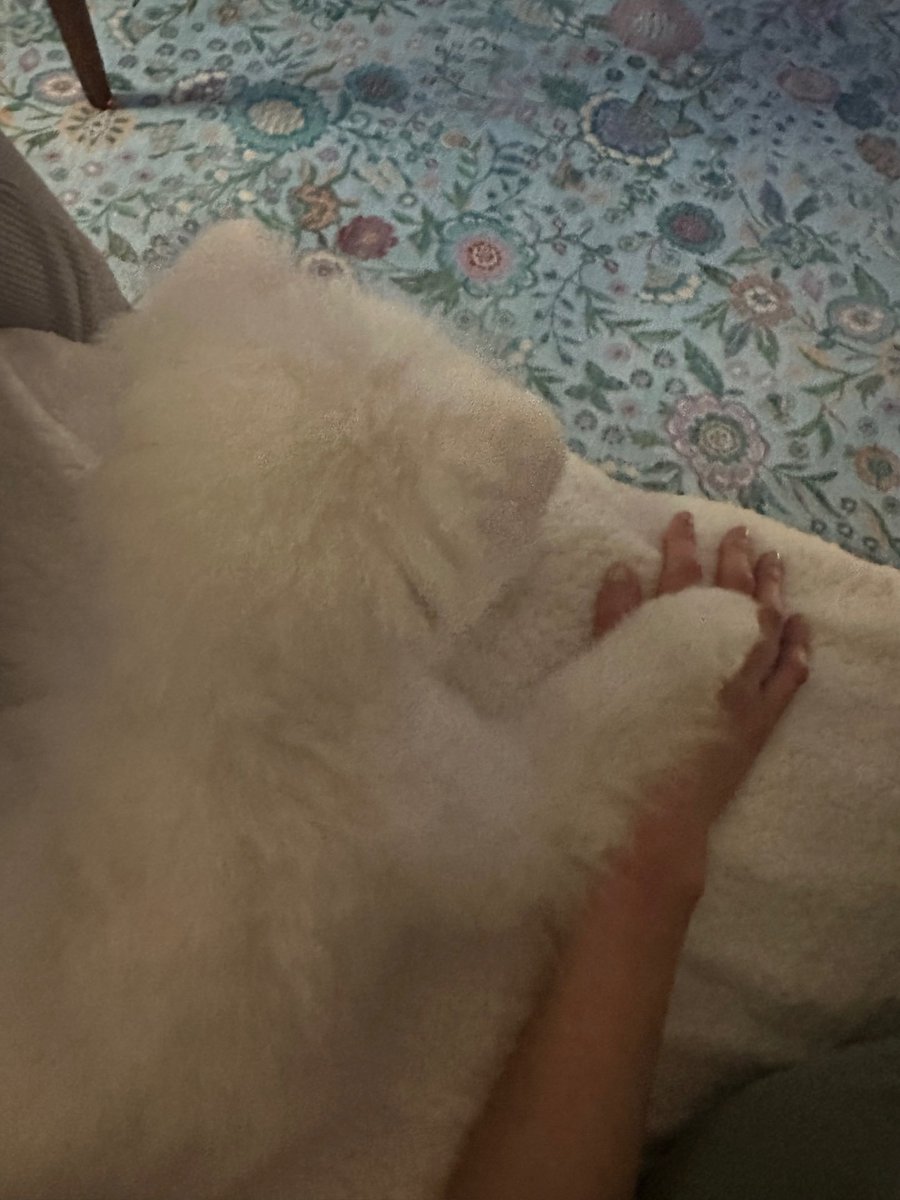 Oulia's tweet image. bella join the gang!