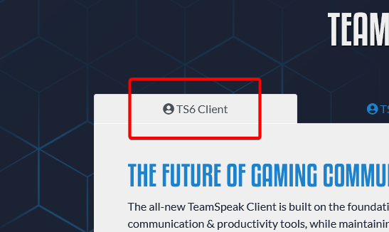 indexCS's tweet photo. we got @teamspeak 6 before GTA 6 https://t.co/khH20behNq