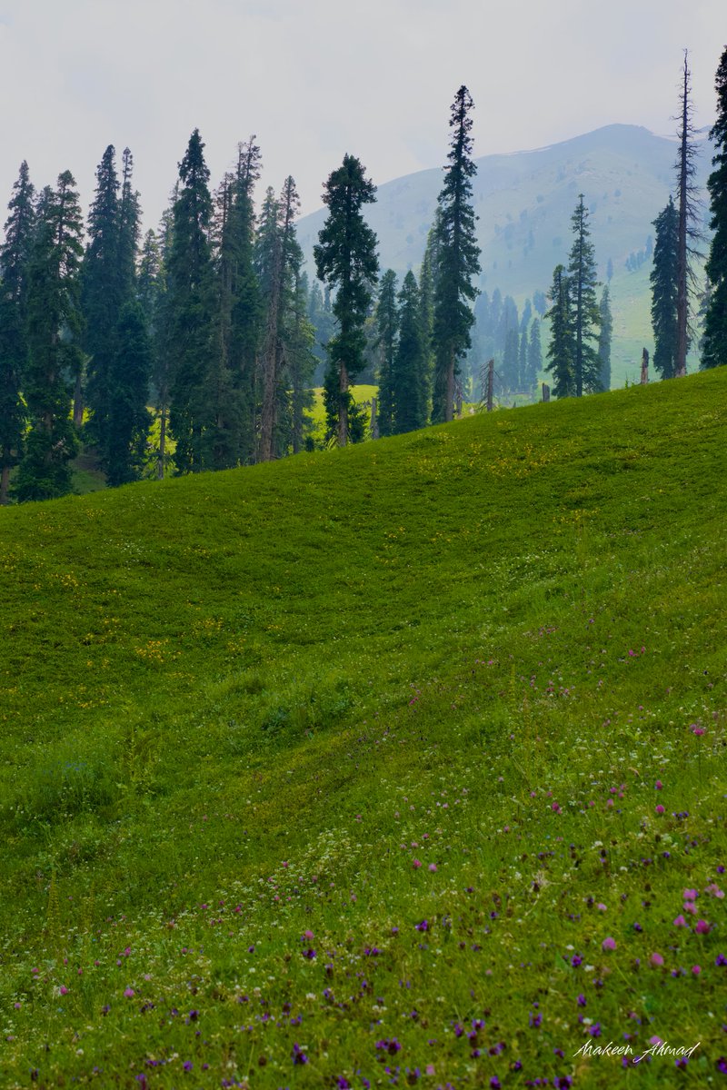 MakeenAhmad_'s tweet photo. The unexplored havens... Calling only to those who seek the untouched. https://t.co/9F3QHVIlyt