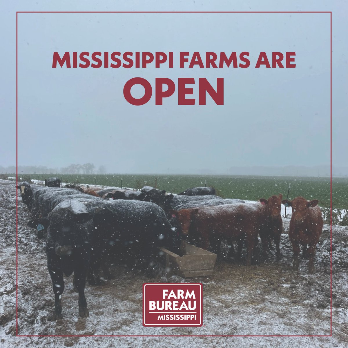 Cold weather and snow doesn't mean the work stops on our farms. Thank you to our farmers, ranchers, and agriculturalist who produce the food, fiber and shelter we need everyday! #AboveBeyond