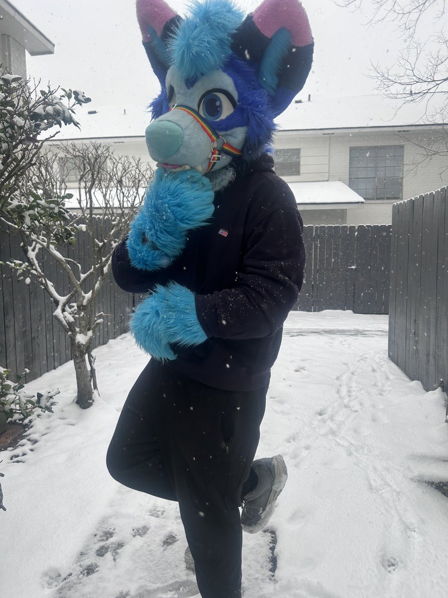 The swamp lands froze over! Wruff! :3