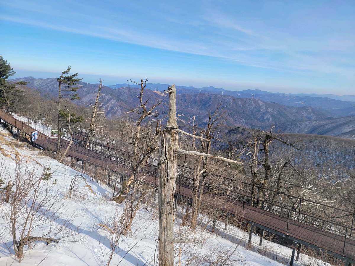 정재식 tweet media