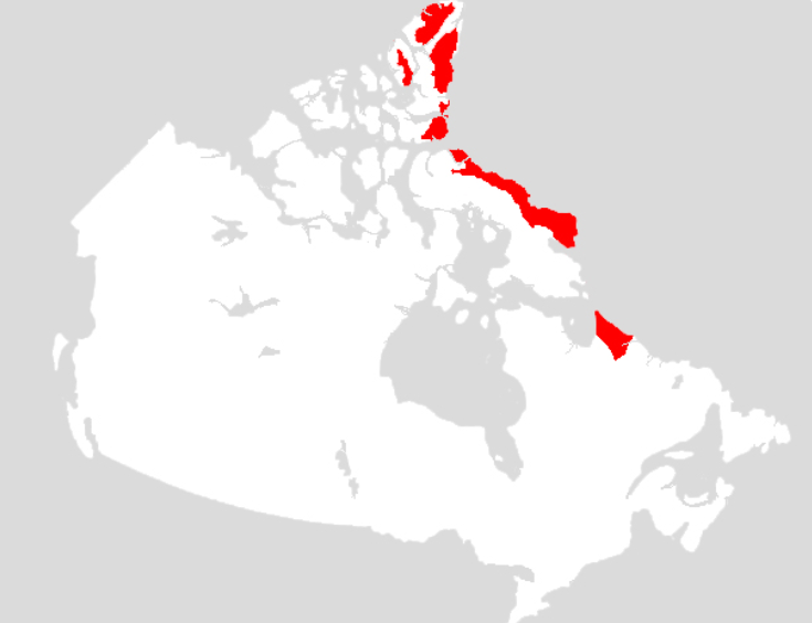AmericanGeo's tweet photo. #TopoTuesday The Arctic Cordillera in Canada, stretching from Ellesmere Island, Canada’s most northern point, all the way to the Torngat Mountains of northern Labrador. The landscape is known for polar ice fields, alpine glaciers, inland fjords, and large bodies of water. https://t.co/qbVhp6Zk2m