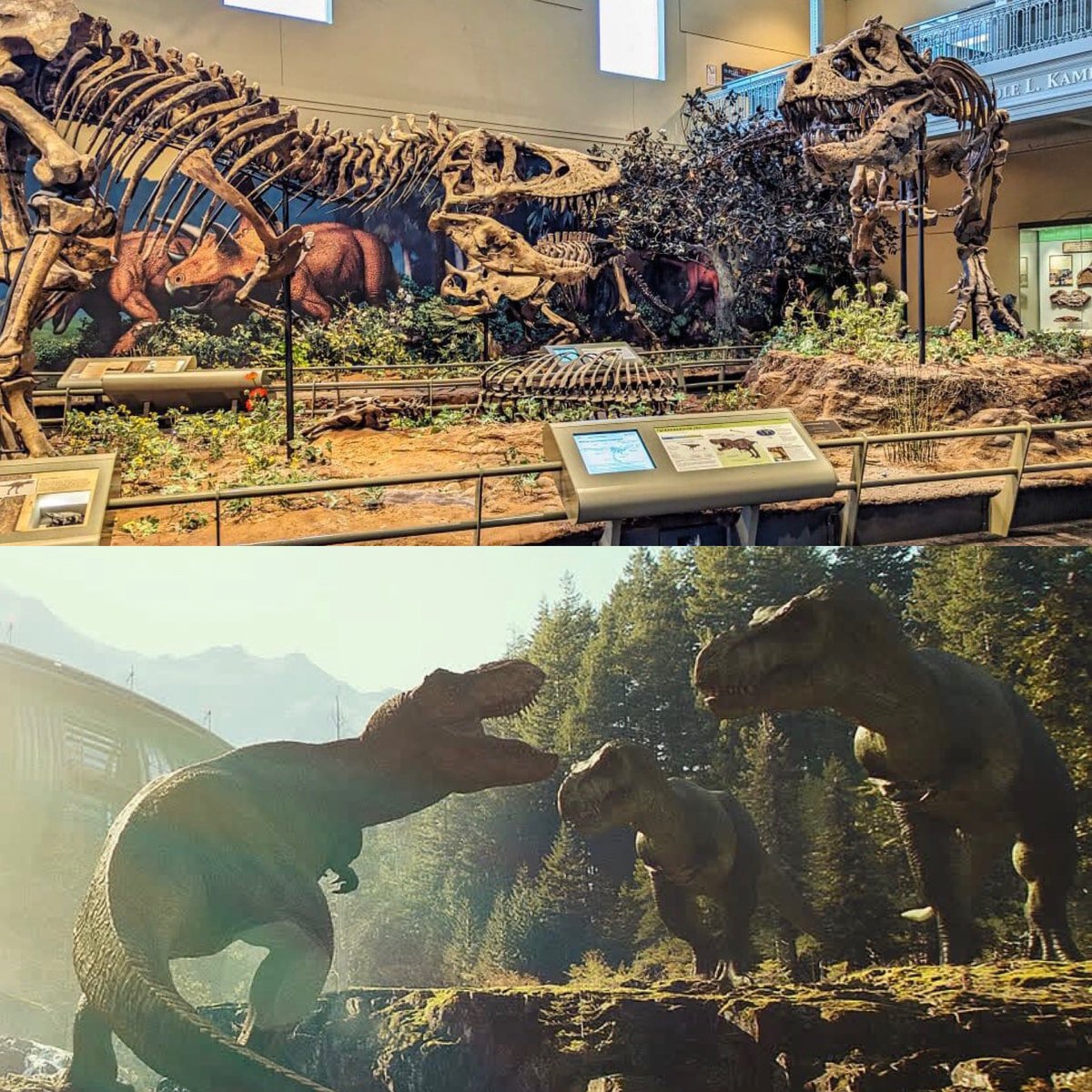 Jurassic Forever. 

#Rebirth #dinosaurs #paleoart #jurassic #animals #nature #dino #dinosaur #fossil #paleontology #paleontologist #jurassicpark #jurassicworld #Tyrannosaurus #thelostworld #thelostworldjurassicpark #jurassicpark3 #predator #superpredator #Trex #Rex #theropod