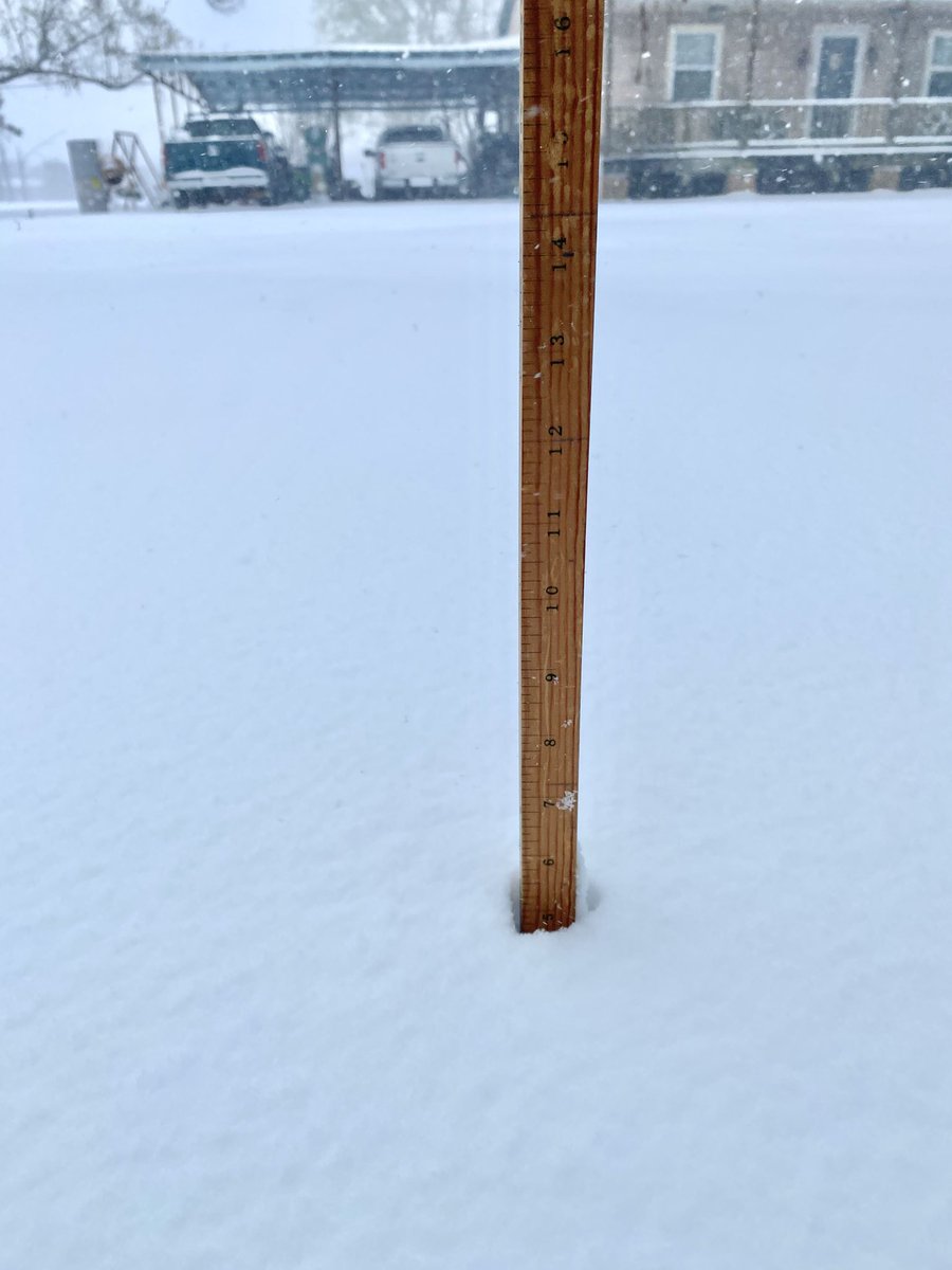 _ikatt's tweet photo. Never seen this much snow in my life 🥹
@ryanhallyall @NWSNewOrleans https://t.co/EKRT8Ys1f4