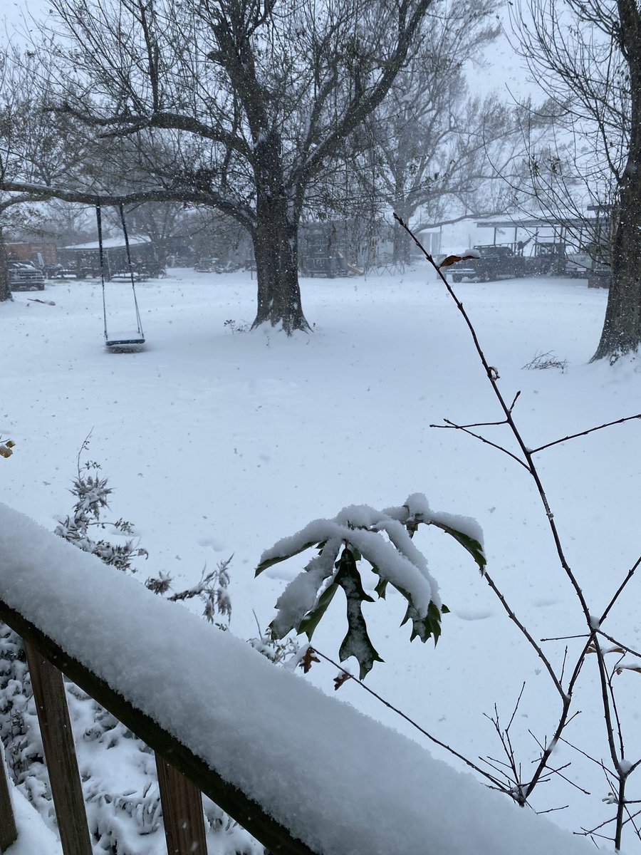 _ikatt's tweet photo. Never seen this much snow in my life 🥹
@ryanhallyall @NWSNewOrleans https://t.co/EKRT8Ys1f4