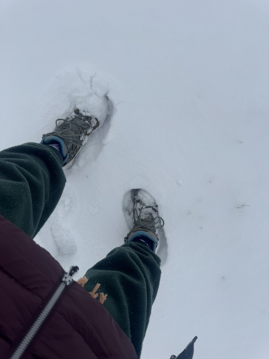 NicoleLSellsHou's tweet photo. It’s a Winter Wonderland in Houston, TX 

@JimCantore @abc13houston https://t.co/2cSPYQWIJ0