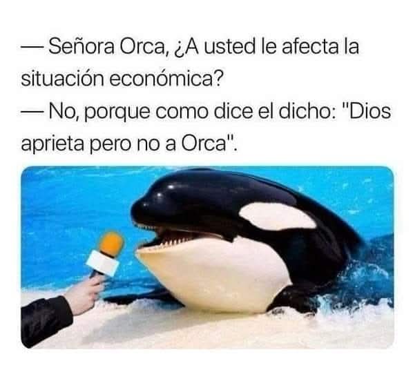 EnsedeCiencia's tweet photo. https://t.co/CtVHniSkMv