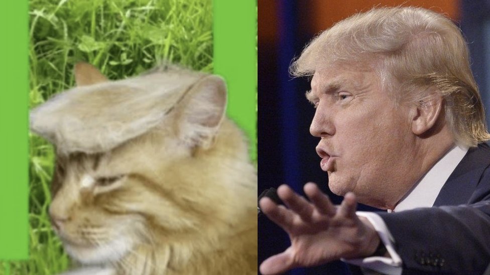 dynasty 🧬 ™️ 👑 tweet media