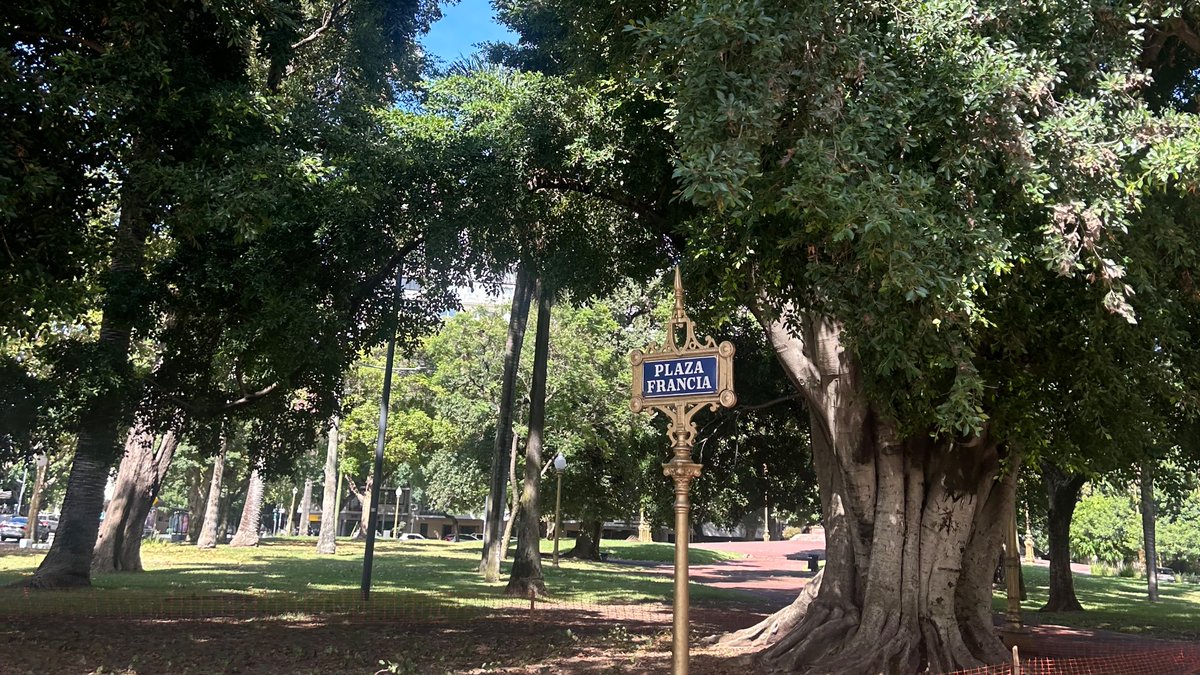 CarlaMourinho's tweet photo. No sé muchas cosas pero a veces sólo hay que salir a pasear, prestar atención a lo que nos rodea y respirar un rato. https://t.co/R0GLG4r2h3