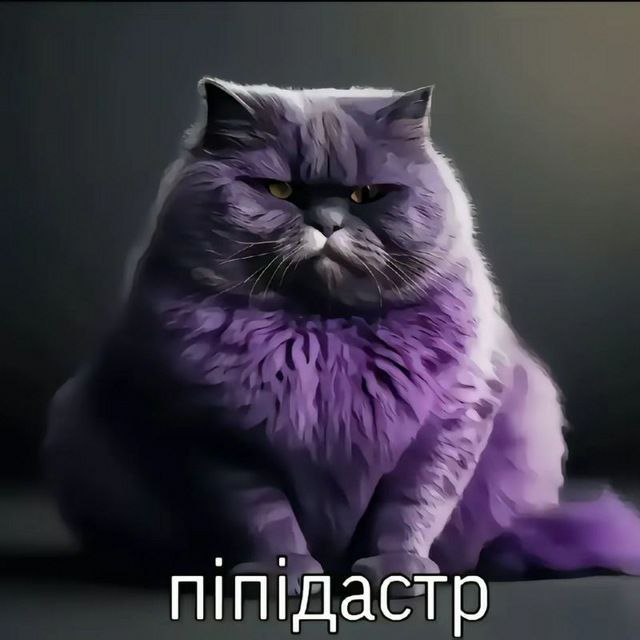 Ефак tweet media