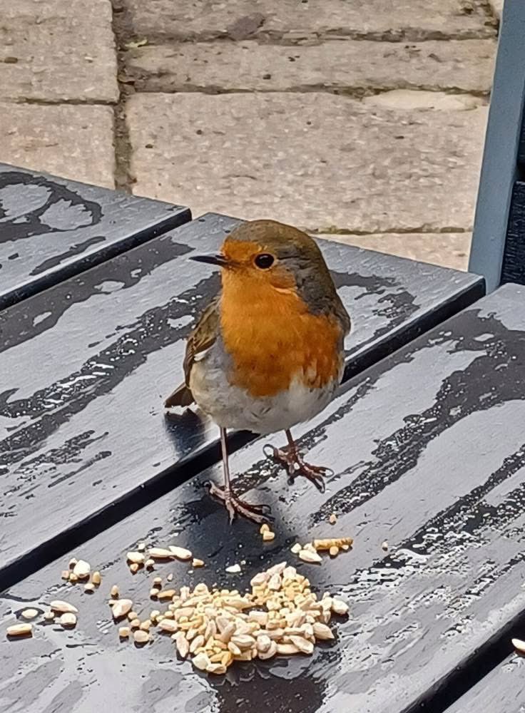 M0AFJ's tweet photo. My coffee companion today  #Winterwatch #penrose #Cornwall 
#everyone 
#countryfile https://t.co/W44F82Abdj
