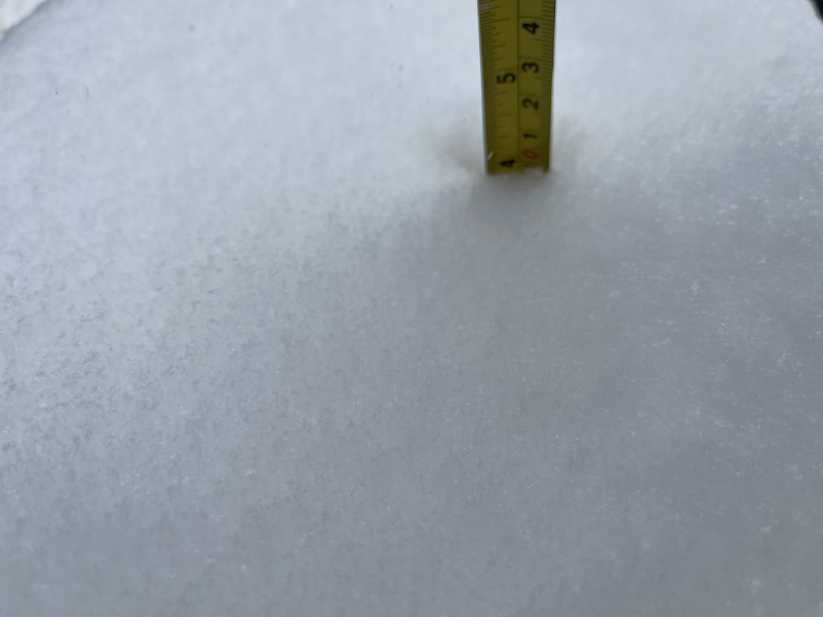 RonGoleman's tweet photo. Hour 5, with the heaviest snow yet #AlabamaSnow @spann @FOX10News @NWSMobile https://t.co/8J0a6XuSIo