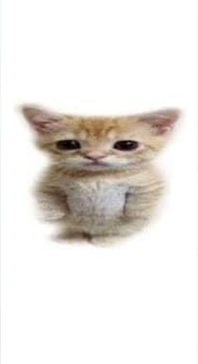 Kululeko221's tweet photo. @ArkartiArt Me asf https://t.co/Wxnz6X4QlH