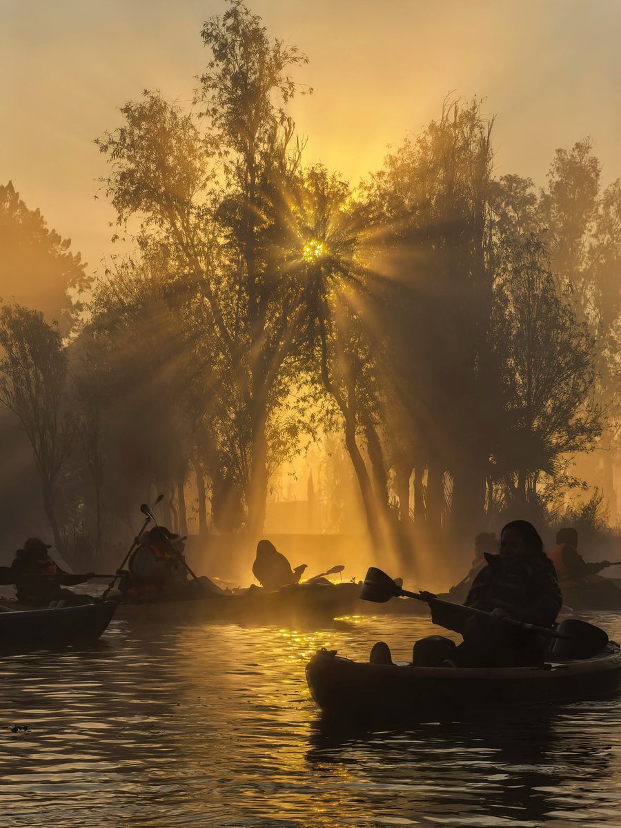 Charlypi tweet media