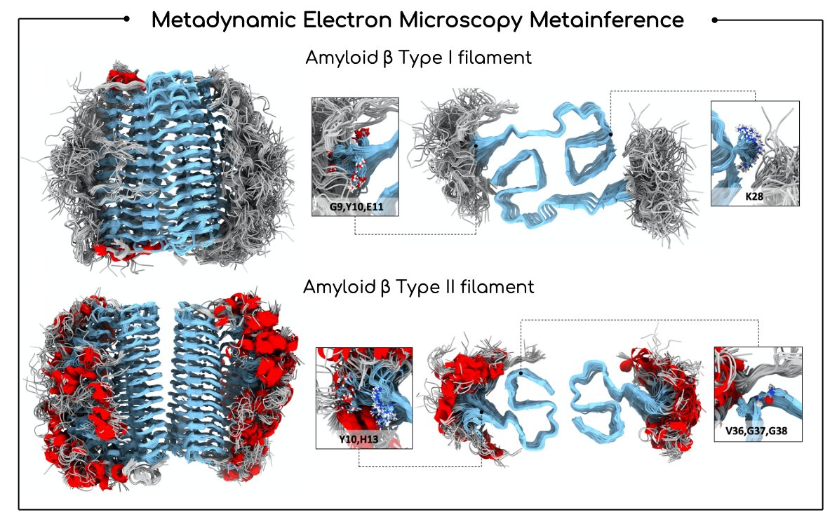 MariaMilanesi (@mariamilanesi8) on Twitter photo 🔥Very excited to see our work just published in Science Advances! doi.org/10.1126/sciadv… "Transient interactions between the fuzzy coat and the cross-β core of brain-derived Aβ42 filaments". Grateful for the collaboration with <a href="/FBrotzakis/">Faidon Brotzakis</a>, <a href="/mvendruscolo14/">Michele Vendruscolo</a>, <a href="/VendruscoloLab/">Vendruscolo Lab</a>. 🔥Very excited to see our work just published in Science Advances! doi.org/10.1126/sciadv… "Transient interactions between the fuzzy coat and the cross-β core of brain-derived Aβ42 filaments". Grateful for the collaboration with <a href="/FBrotzakis/">Faidon Brotzakis</a>, <a href="/mvendruscolo14/">Michele Vendruscolo</a>, <a href="/VendruscoloLab/">Vendruscolo Lab</a>.