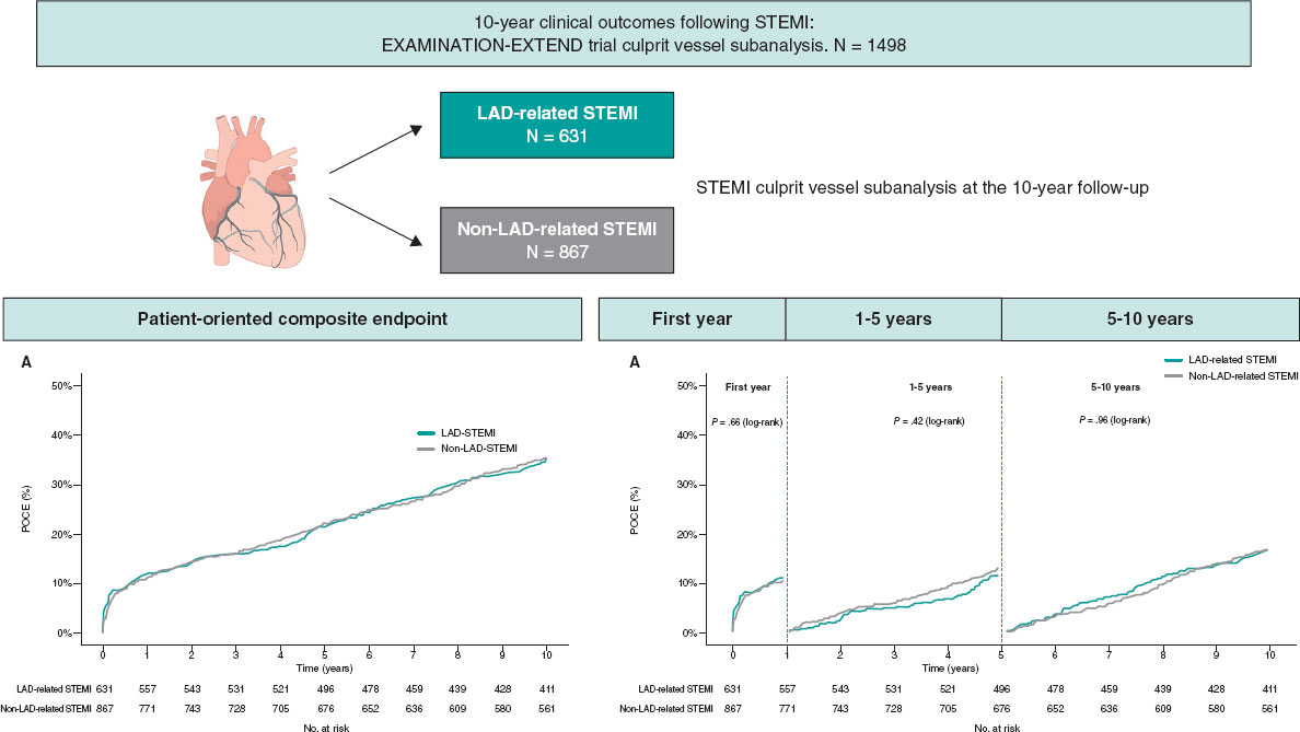 REC Publications (@revespcardiol) on Twitter photo Long-term prognostic impact of the left anterior descending coronary artery as the STEMI-related culprit vessel: subanalysis of the EXAMINATION-EXTEND trial #recintervcardiol #AheadOfPrint <a href="/pvidalcales/">Pablo Vidal Calés</a> <a href="/KamilBujak12/">Kamil Bujak</a> <a href="/josepgomezlara/">josep</a> <a href="/PJimenezQueved1/">PJimenezQuevedo</a> <a href="/xacobeflores/">Xacobe Flores Rios</a> <a href="/AndresIniguezR/">Andrés Íñiguez Romo</a> Long-term prognostic impact of the left anterior descending coronary artery as the STEMI-related culprit vessel: subanalysis of the EXAMINATION-EXTEND trial #recintervcardiol #AheadOfPrint <a href="/pvidalcales/">Pablo Vidal Calés</a> <a href="/KamilBujak12/">Kamil Bujak</a> <a href="/josepgomezlara/">josep</a> <a href="/PJimenezQueved1/">PJimenezQuevedo</a> <a href="/xacobeflores/">Xacobe Flores Rios</a> <a href="/AndresIniguezR/">Andrés Íñiguez Romo</a>