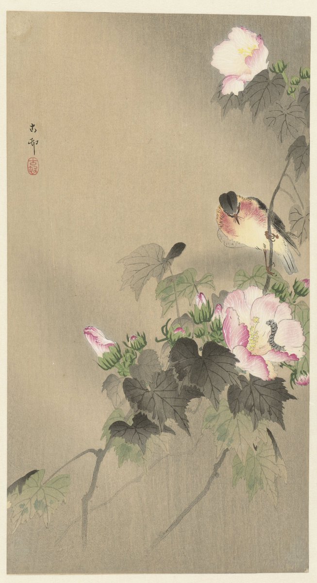 JapanTraCul's tweet photo. Bird and caterpillar, by Ohara Koson, 1900-1930 https://t.co/597wzR360y