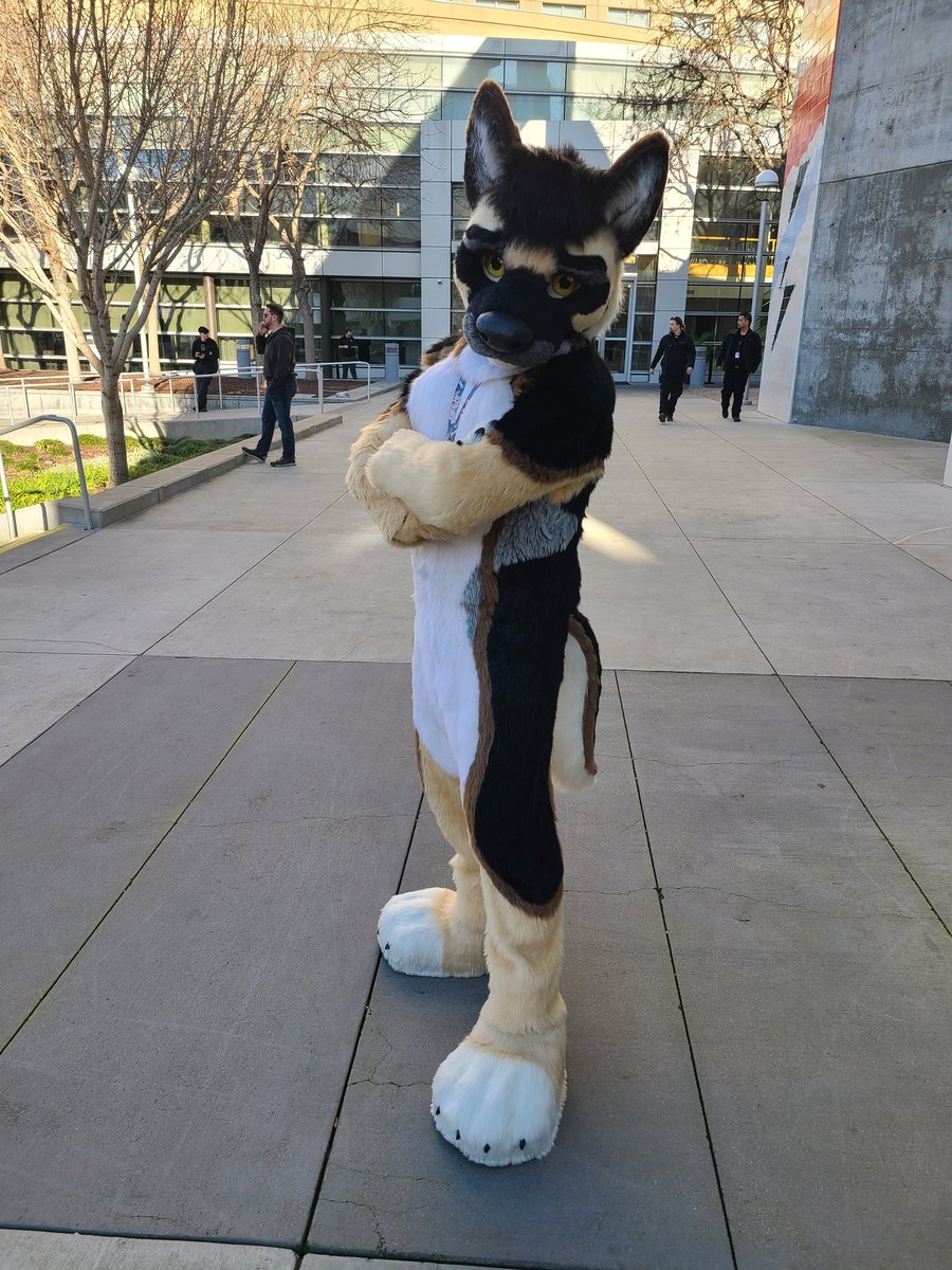 Azul Jaguar π FWA (@azulblackjaguar) on Twitter photo Had a lot of fun dancing with and getting hugged by this very handsome dog <a href="/NitroShep/">Nitro Shep β€ bsky</a> at #FC2025! Had a lot of fun dancing with and getting hugged by this very handsome dog <a href="/NitroShep/">Nitro Shep β€ bsky</a> at #FC2025!