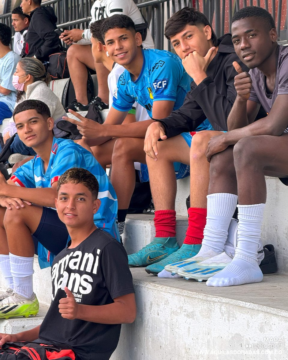 AguilasDoradas's tweet photo. #FuerzasBasicas | Bienvenidos al equipo de Rionegro. 🦅⚽
Mucha magia, mucha calidad, mucho talento en la convocatoria de nuestras Águilas Doradas. 😍🔥⚽
#UnaPasiónDoradoDeCorazón https://t.co/7pfAQyJ7R5