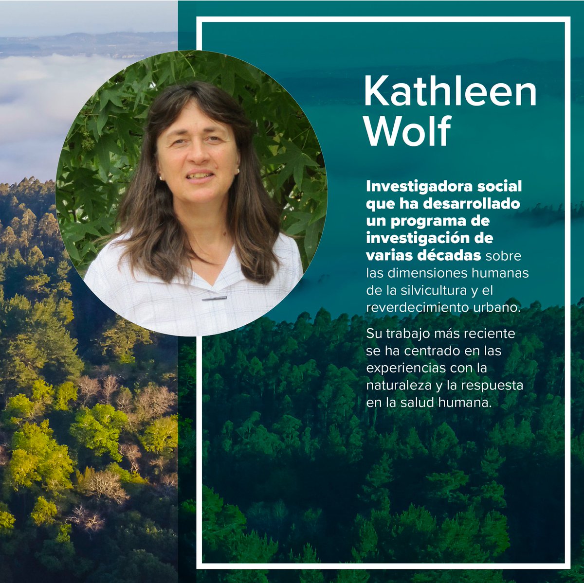 CampusNaturalezaUdeC (@campusnaturalez) on Twitter photo 🌿¡Dos miradas únicas sobre naturaleza y bienestar! 🌿
👉Este 23/01, 17:00 hrs, en el Auditorio de <a href="/forestalesudec/">Facultad de Ciencias Forestales 🌳</a> , charlas de 🌿Sarah Oldfield (Árboles raros) y 🌿Kathleen Wolf (Bienestar Humano y Naturaleza).
🎧 Traducción simultánea. ¡Te esperamos! 🌿¡Dos miradas únicas sobre naturaleza y bienestar! 🌿
👉Este 23/01, 17:00 hrs, en el Auditorio de <a href="/forestalesudec/">Facultad de Ciencias Forestales 🌳</a> , charlas de 🌿Sarah Oldfield (Árboles raros) y 🌿Kathleen Wolf (Bienestar Humano y Naturaleza).
🎧 Traducción simultánea. ¡Te esperamos!