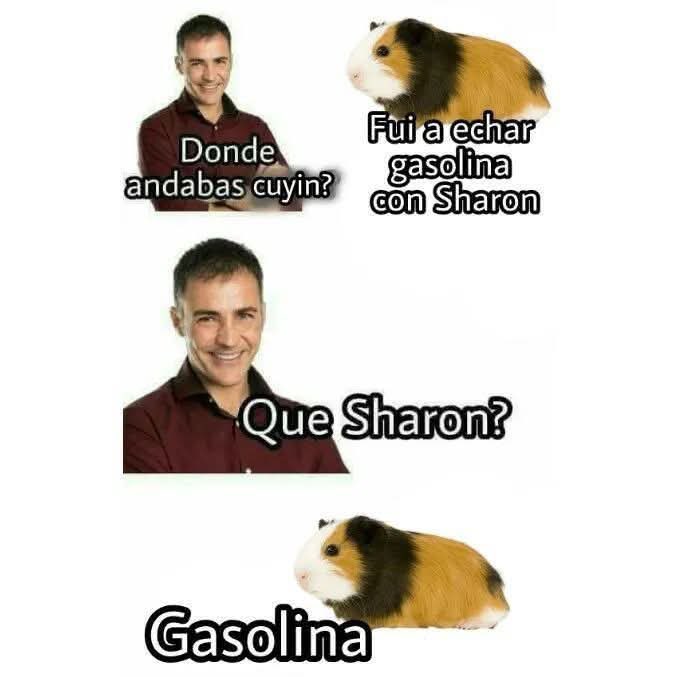 Luis_Daniel_Ort's tweet photo. @Jorge_GzMz @bjs_alejo2 JAJA https://t.co/zGS8SWhPbU