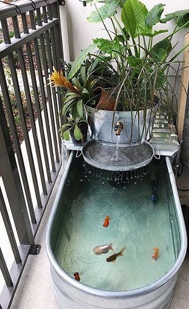 caron_allan's tweet image. Clever and cute idea to brighten up your balcony or repurpose an old bathtub!

#gardenideas #cute #recycle