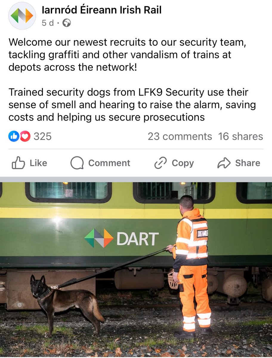 KNEECAPCEOL's tweet image. Yes 😂😂😂