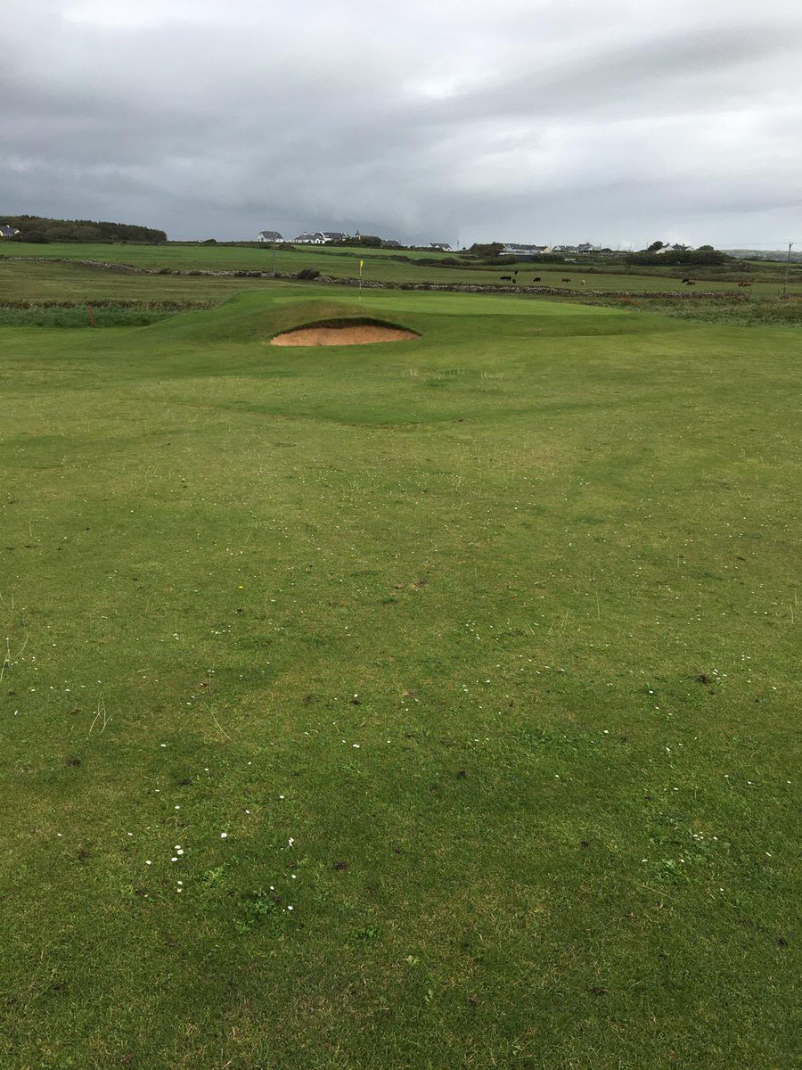 Davidonsitegolf's tweet photo. Inbetween working onsite for Faldo Design we have managed to wiggle another project into our schedule. The design and build of the new 6th green @spanishpointgc. Replacing the old penal style green which was a nightmare and unsafe to maintain with a more fitting Links style green https://t.co/rI1YiGxY26