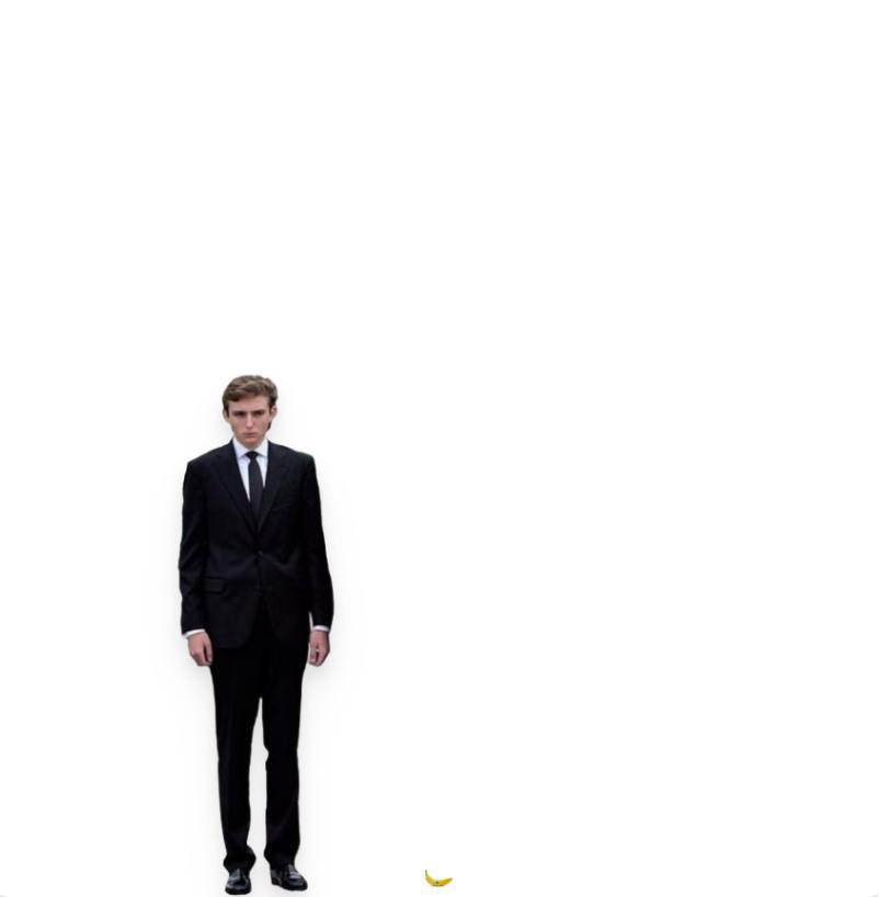 Barron For Scale
