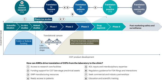 As new cell and gene therapies emerge from academia, we must RISE to the opportunity go.nature.com/3Cj0T2O