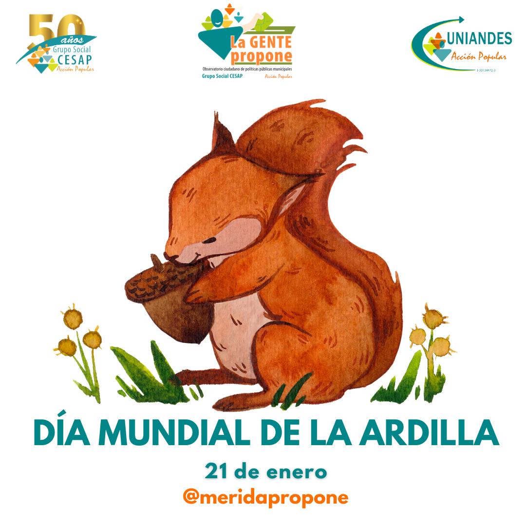 MeridaPropone's tweet image. 🌳 Día de la Ardilla 🐿️. Hoy celebramos a las ardillas, esas pequeñas heroínas del ecosistema. 🌲✨. Estas incansables sembradoras entierran bellotas que olvidan, ayudando a plantar miles de árboles cada año. Podemos observar algunas de sus especies en Bosque Pino. 
#UniandesAC