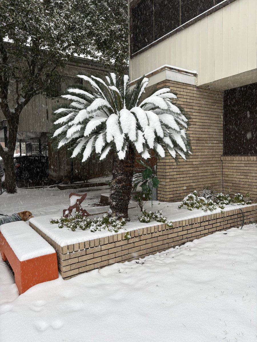 Heather Golden tweet media